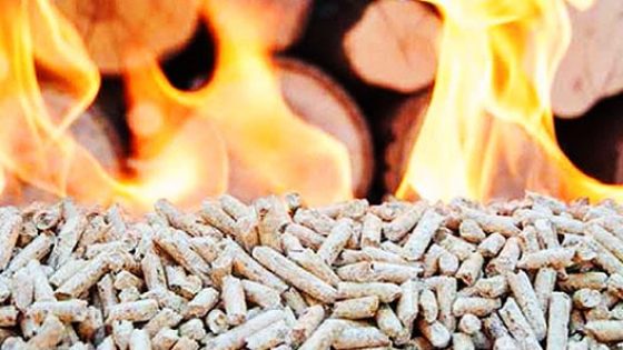 granulés de bois